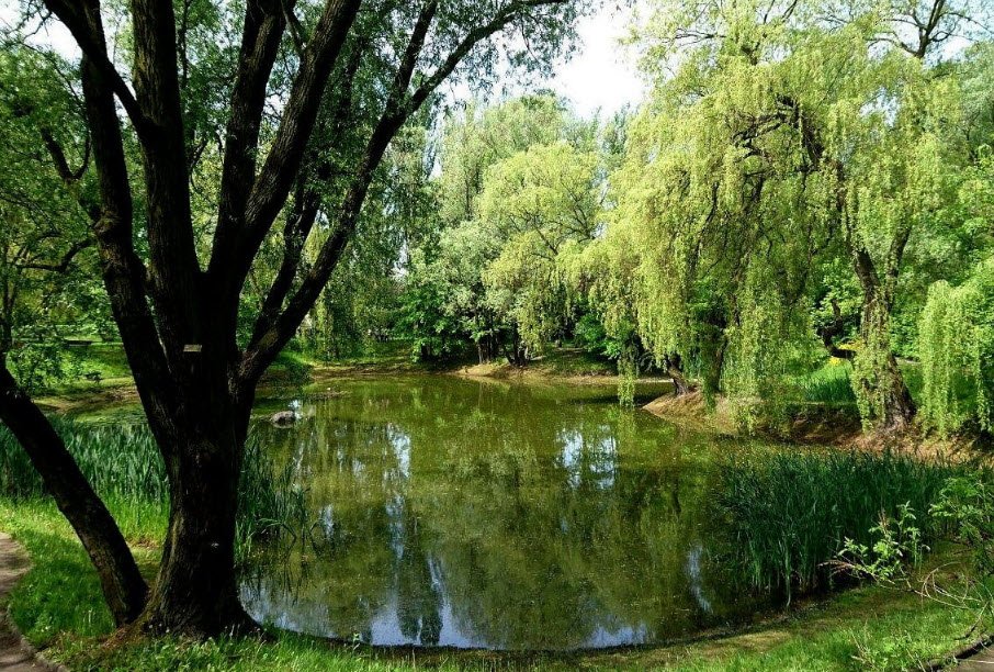 Municipal Botanical Garden, Poland